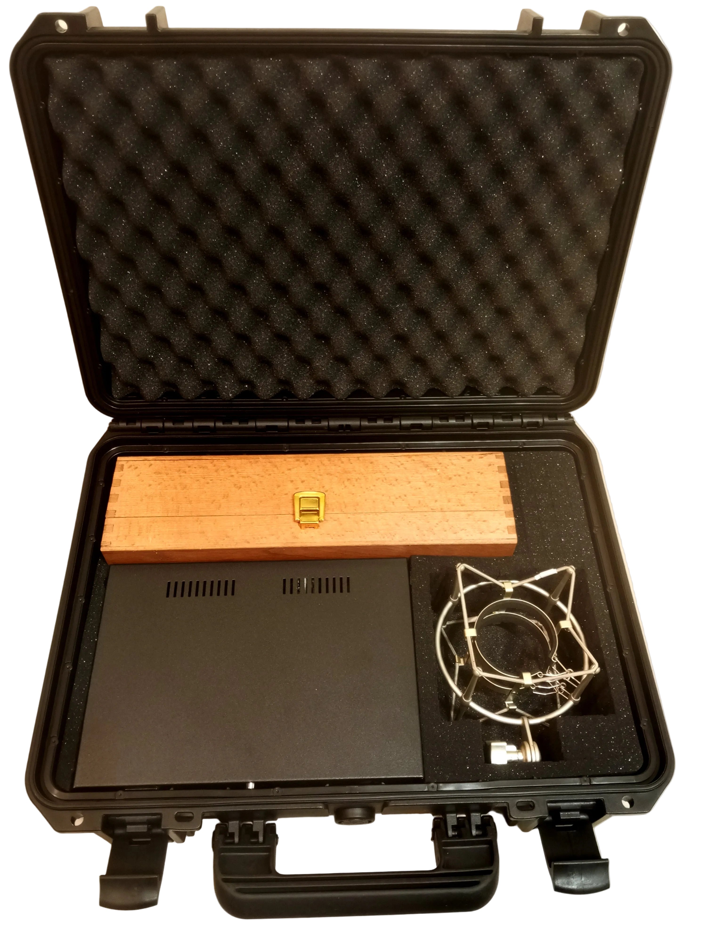 Timmann Elam 251